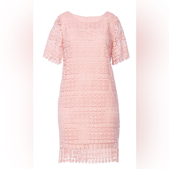 Dress - Picture 5 of 5